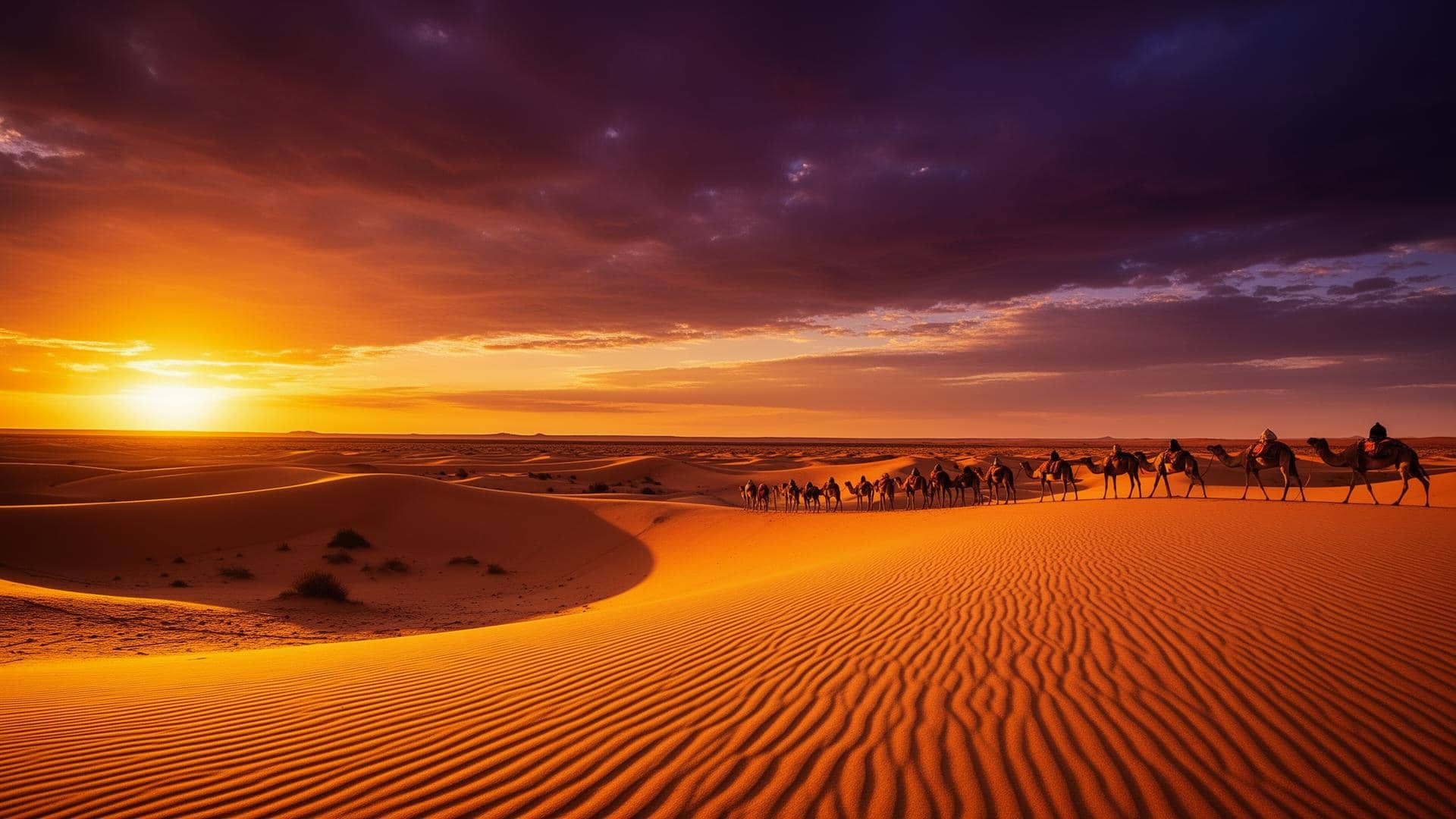 Désert du Sahara au coucher du soleil au Maroc