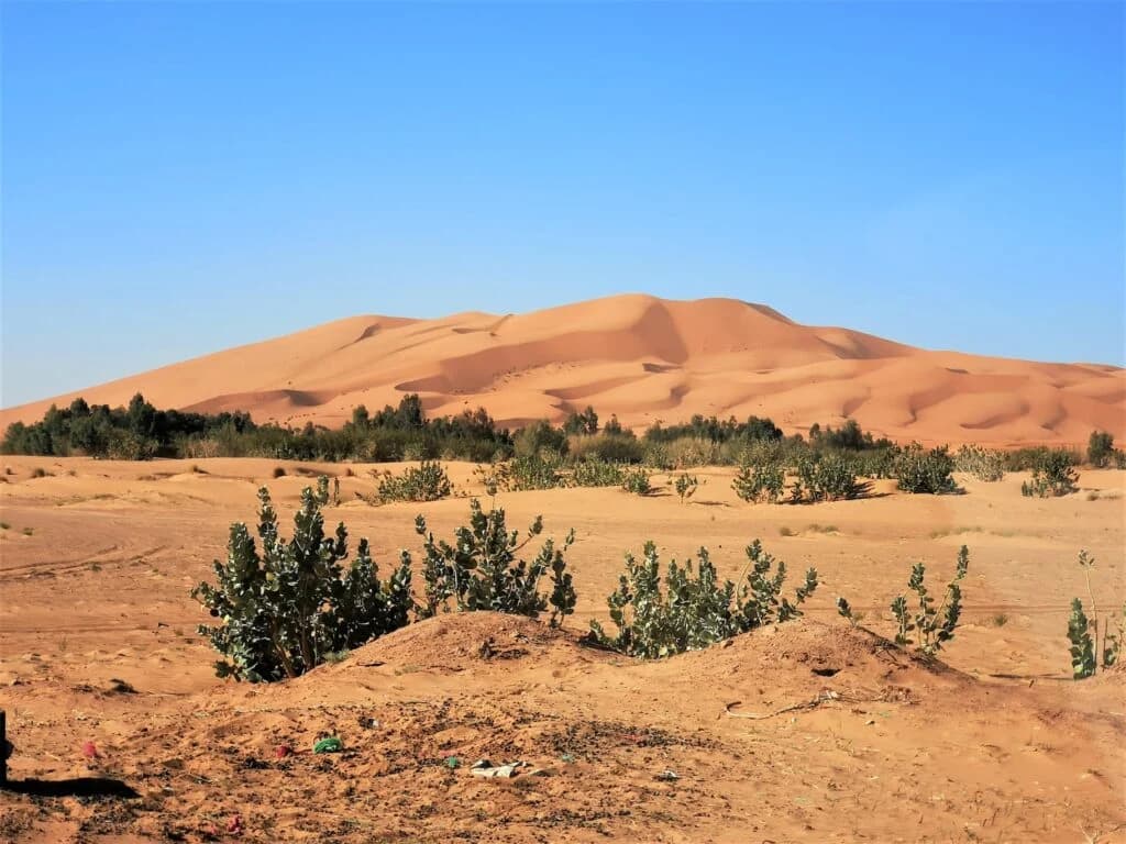 Circuit désert Fès Marrakech 4 jours